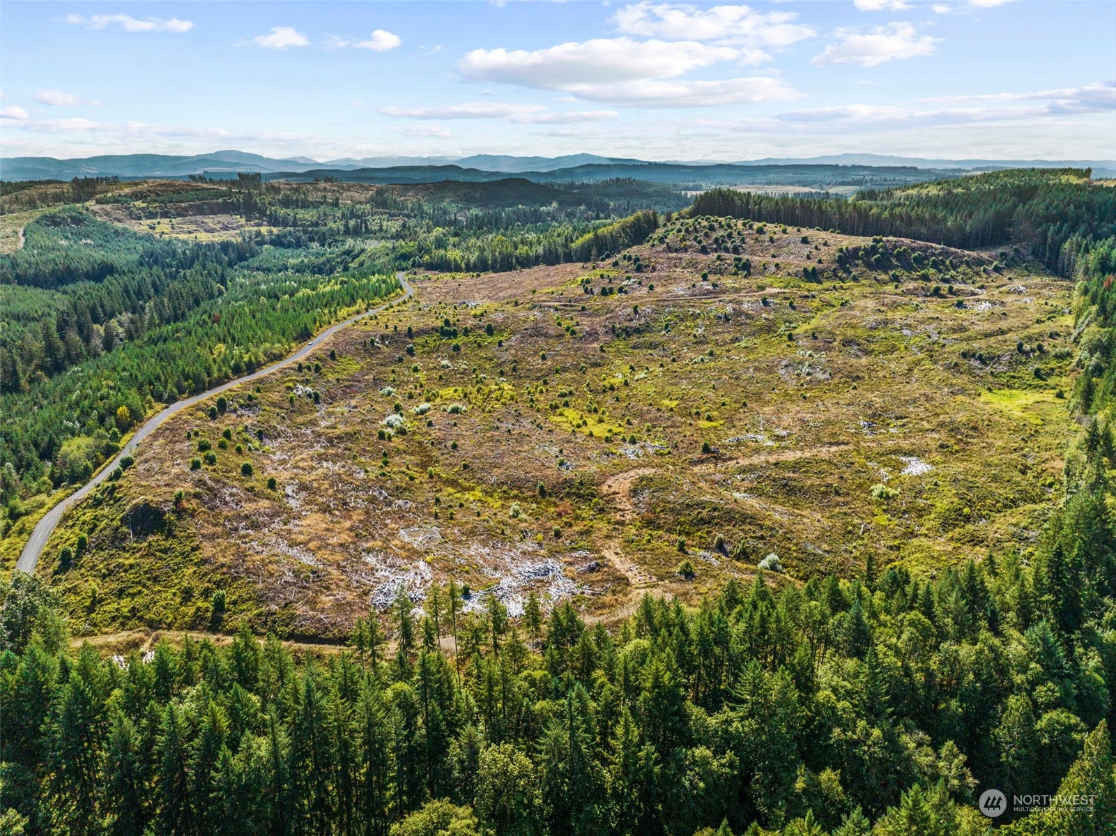 0 Salmon Creek Road Toledo, WA 98591 - Photo 7 of 17
