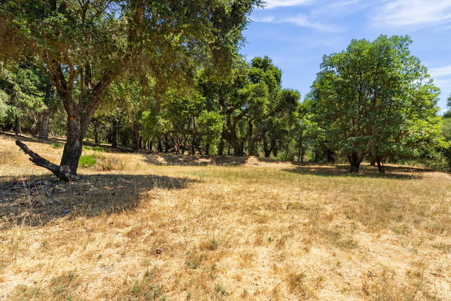 0 Spanish Ranch Road Los Gatos, CA 95033 - Photo 8 of 35 Gallery Image 8