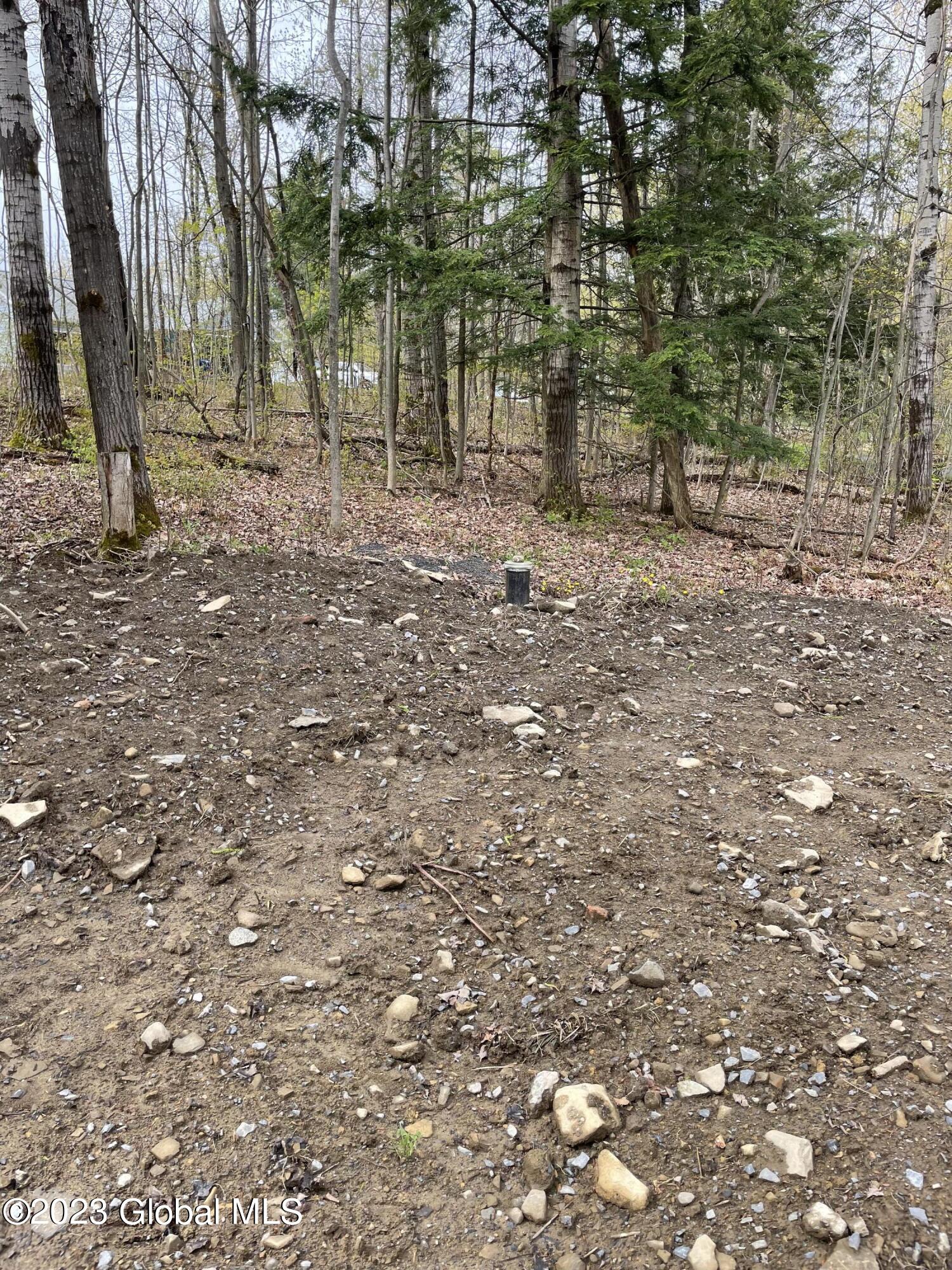 3505 Lake Road Delanson, NY 12053 - Photo 7 of 23 IMG-7125