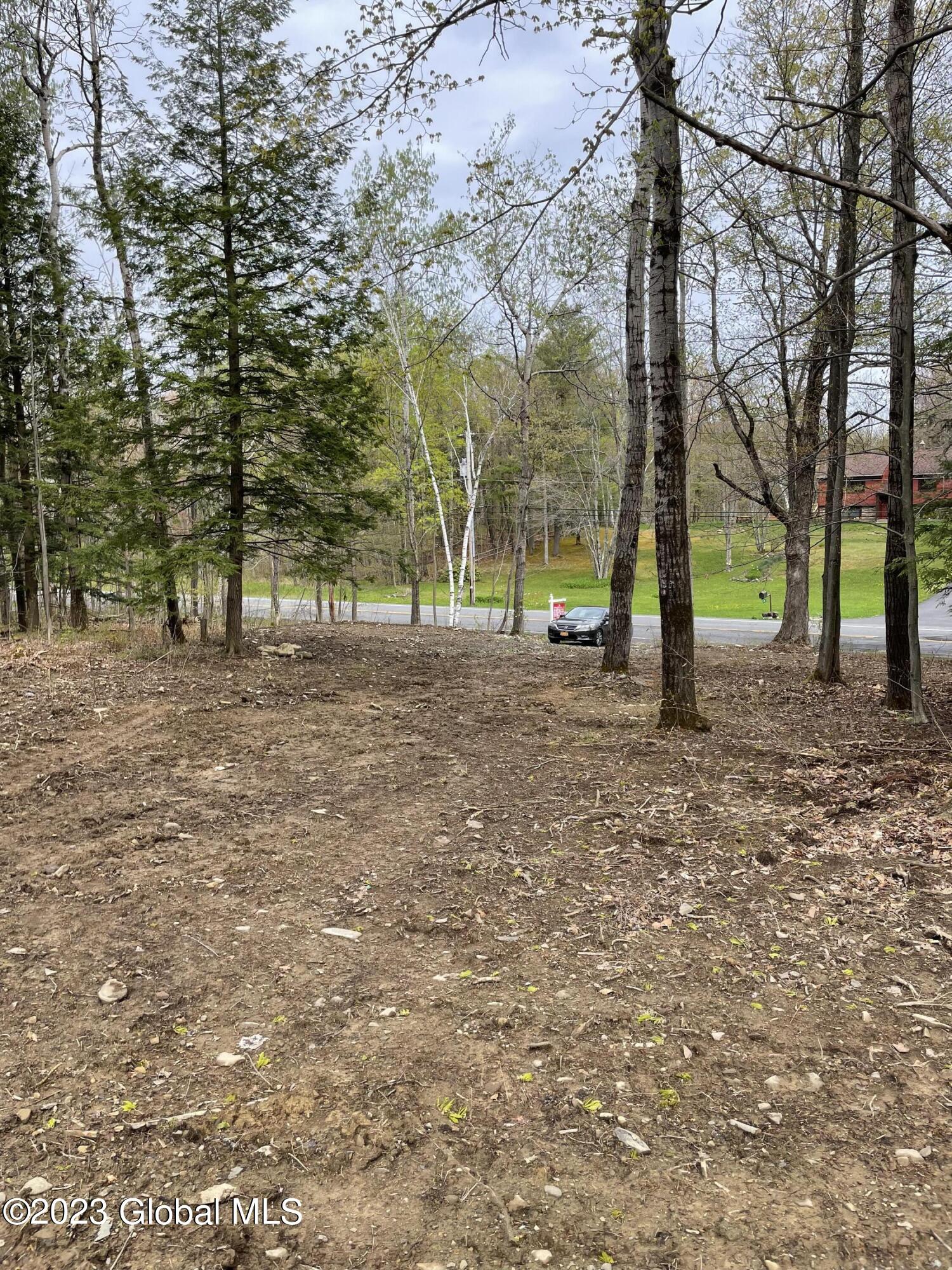 3505 Lake Road Delanson, NY 12053 - Photo 8 of 23 IMG-7131
