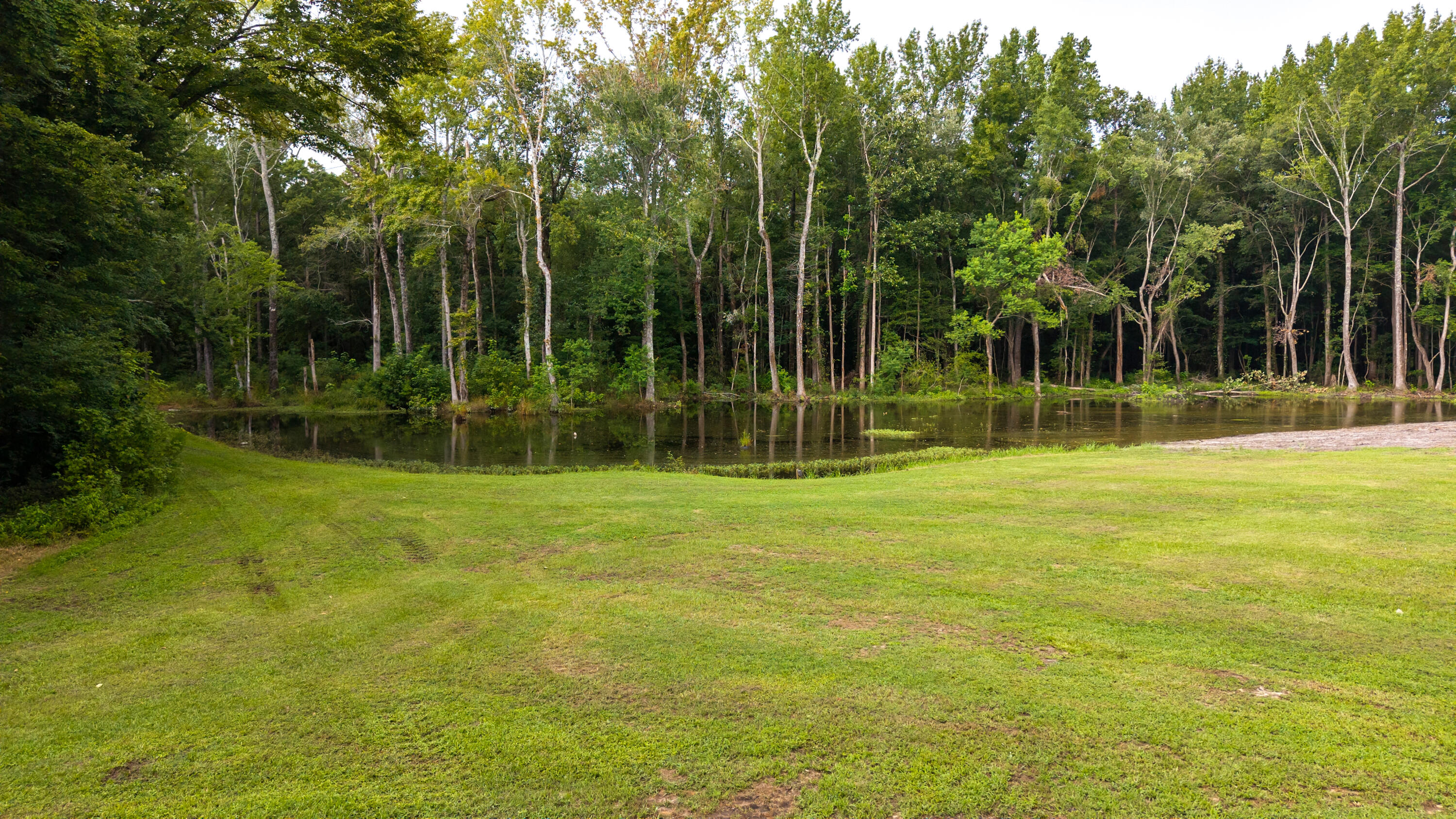2985 Thadsfarm Road Sumter, SC 29153 - Photo 31 of 83 47