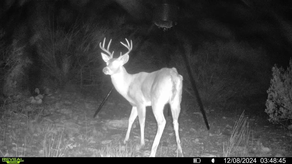 16185 Tx-55 Rocksprings, TX 78880 - Photo 11 of 11 View of details