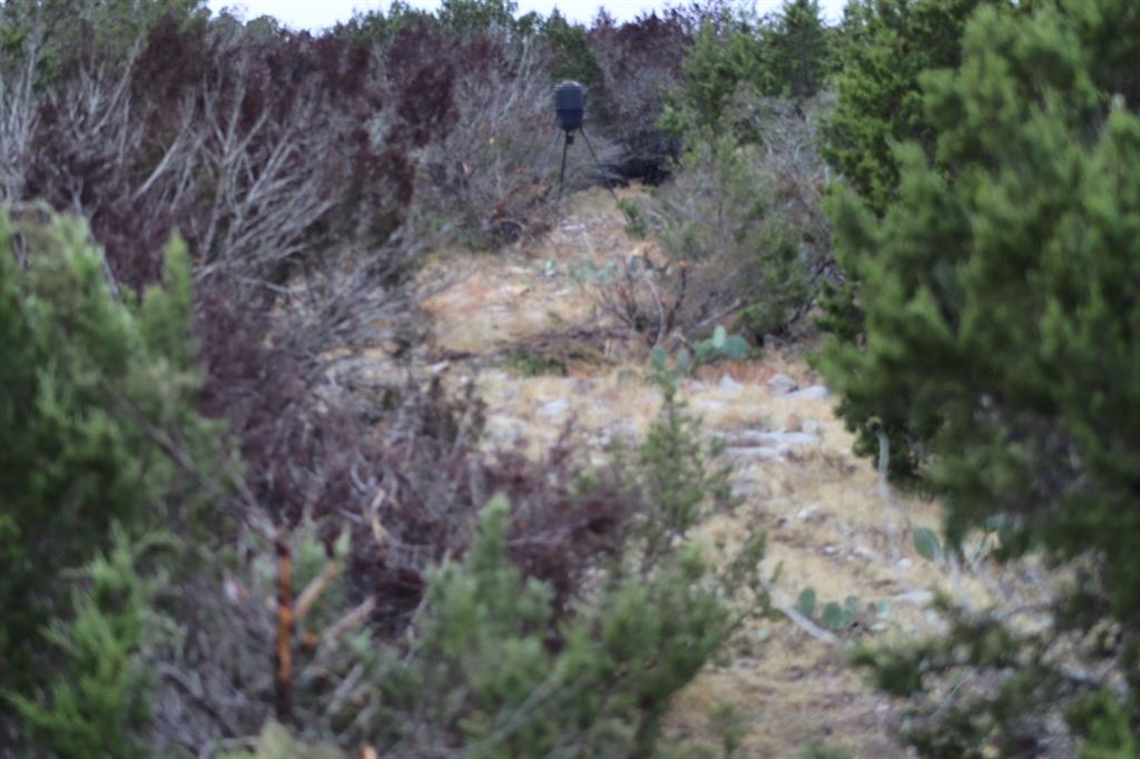 16185 Tx-55 Rocksprings, TX 78880 - Photo 4 of 11 View of landscape