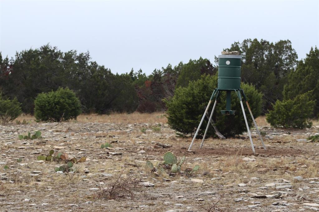 16185 Tx-55 Rocksprings, TX 78880 - Photo 6 of 11 View of landscape