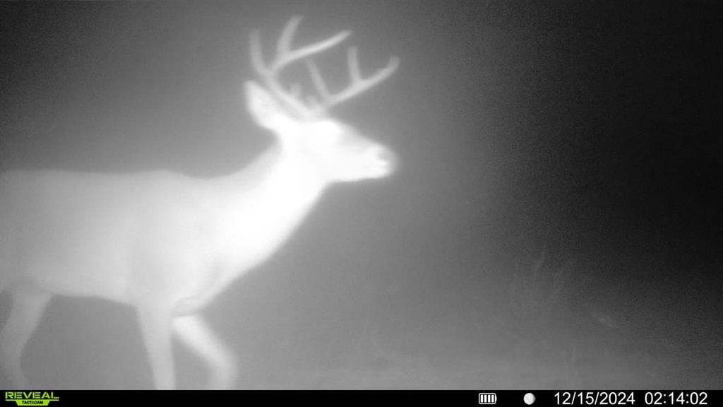 16185 Tx-55 Rocksprings, TX 78880 - Photo 7 of 11 View of details