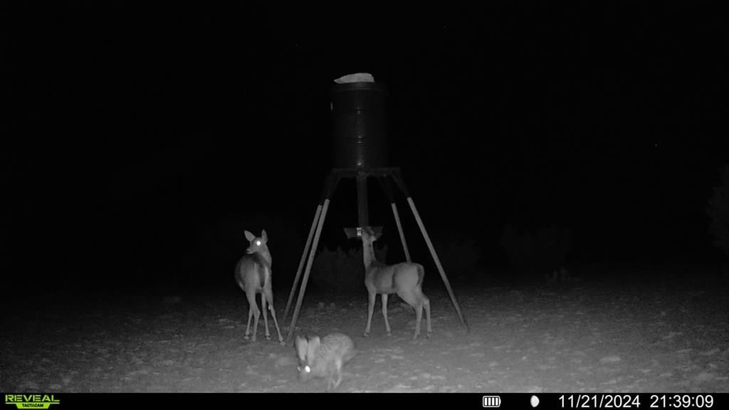 16185 Tx-55 Rocksprings, TX 78880 - Photo 8 of 11