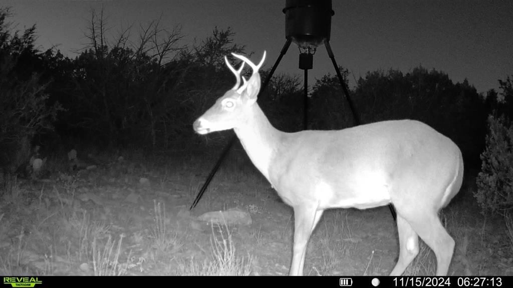 16185 Tx-55 Rocksprings, TX 78880 - Photo 9 of 11 View of details