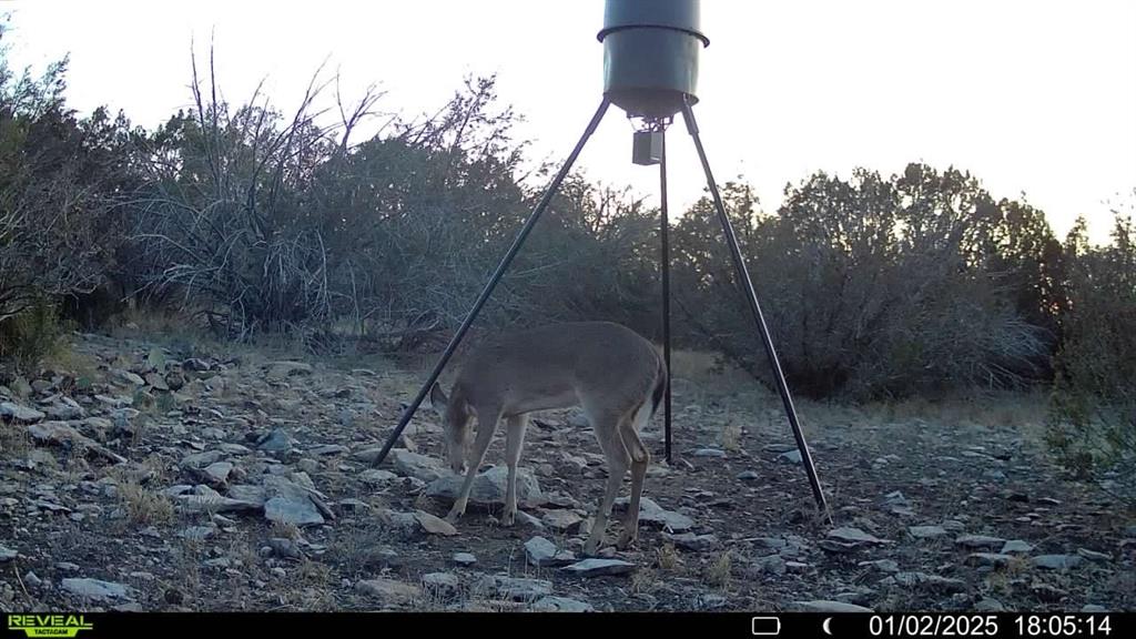 16185 Tx-55 Rocksprings, TX 78880 - Photo 10 of 11 View of landscape