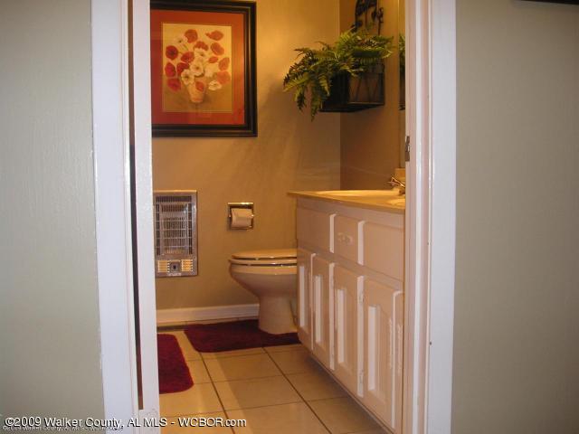 4710 Duncan Road Nauvoo, AL 35578 - Photo 10 of 12 Gallery Image 10