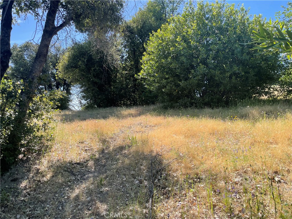 363 Raccoon Road Berry Creek, CA 95916 - Photo 6 of 27
