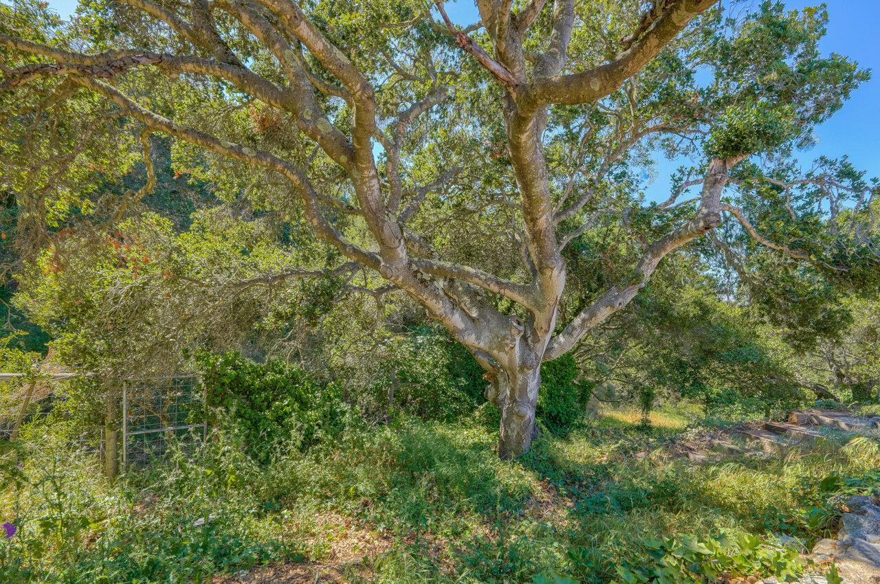 22580 Murietta Road Salinas, CA 93908 - Photo 31 of 44 Gallery Image 31