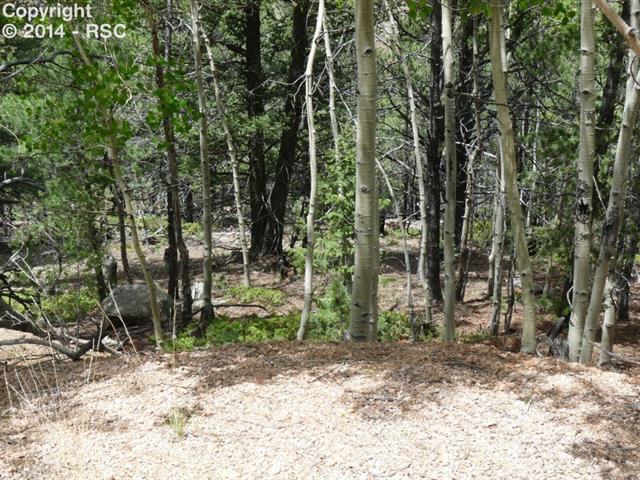 1115 Timber Ridge Road Divide, CO 80814 - Photo 7 of 8