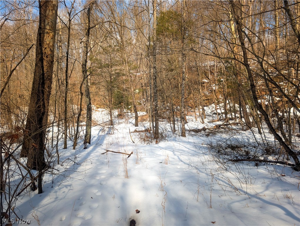 13 Ayers Ridge Lower Salem, OH 45745 - Photo 7 of 32 Yard covered in snow featuring view of wooded area