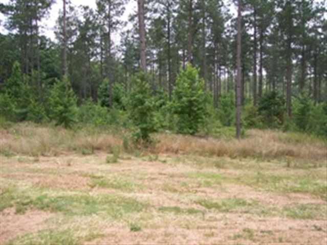 925 Friendship Church Road Hartwell, GA 30643 - Photo 6 of 8 Gallery Image 6