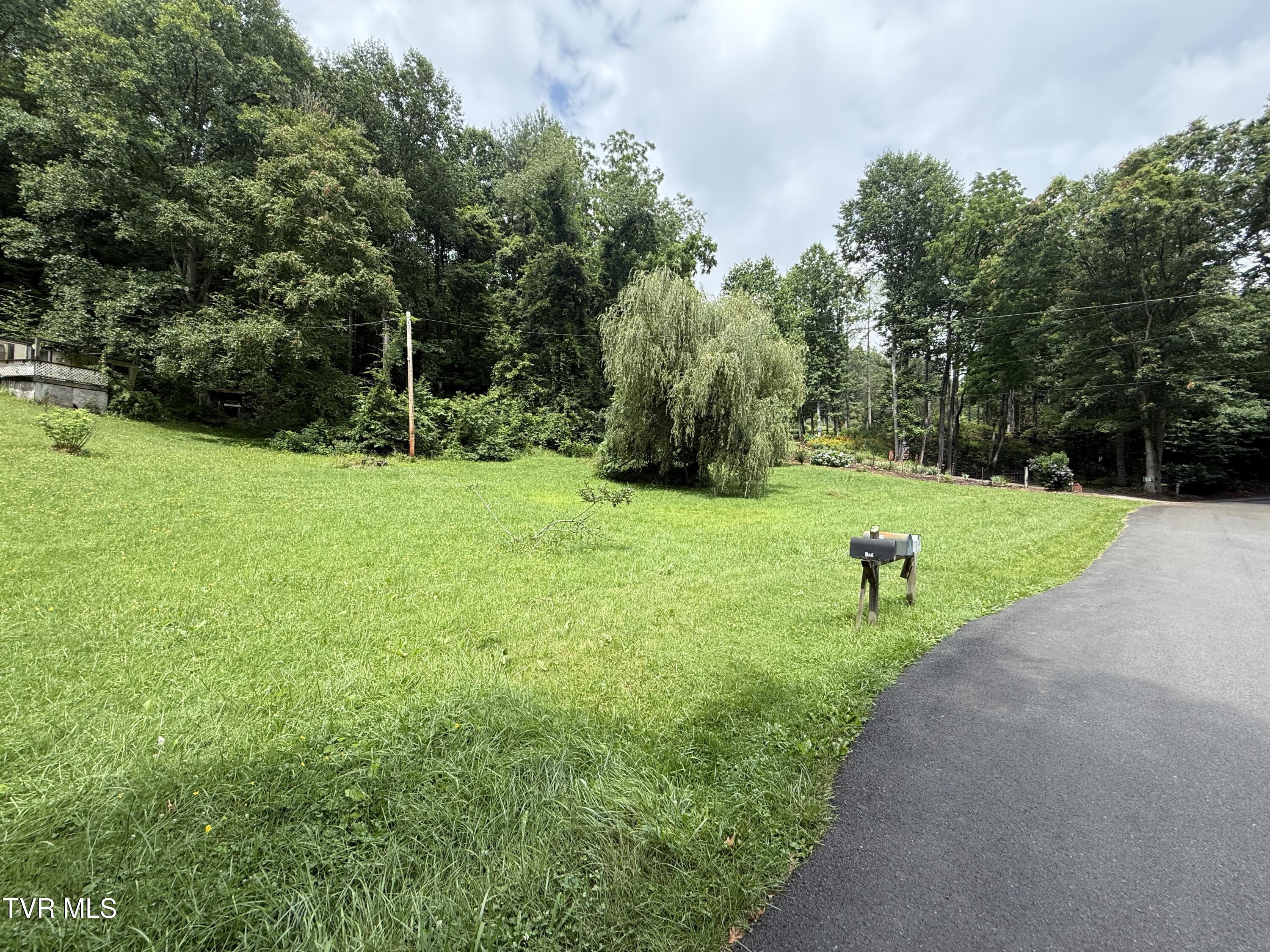 201 Mill Creek Road Elizabethton, TN 37643 - Photo 11 of 18 IMG_4396