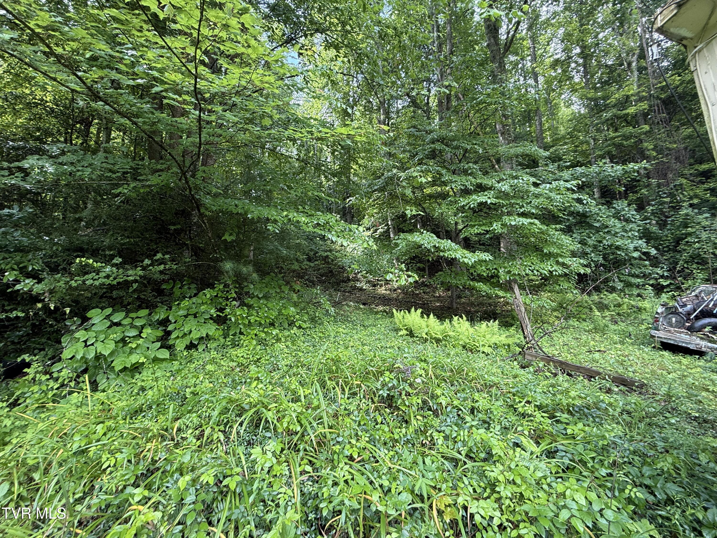 201 Mill Creek Road Elizabethton, TN 37643 - Photo 14 of 18 IMG_4390