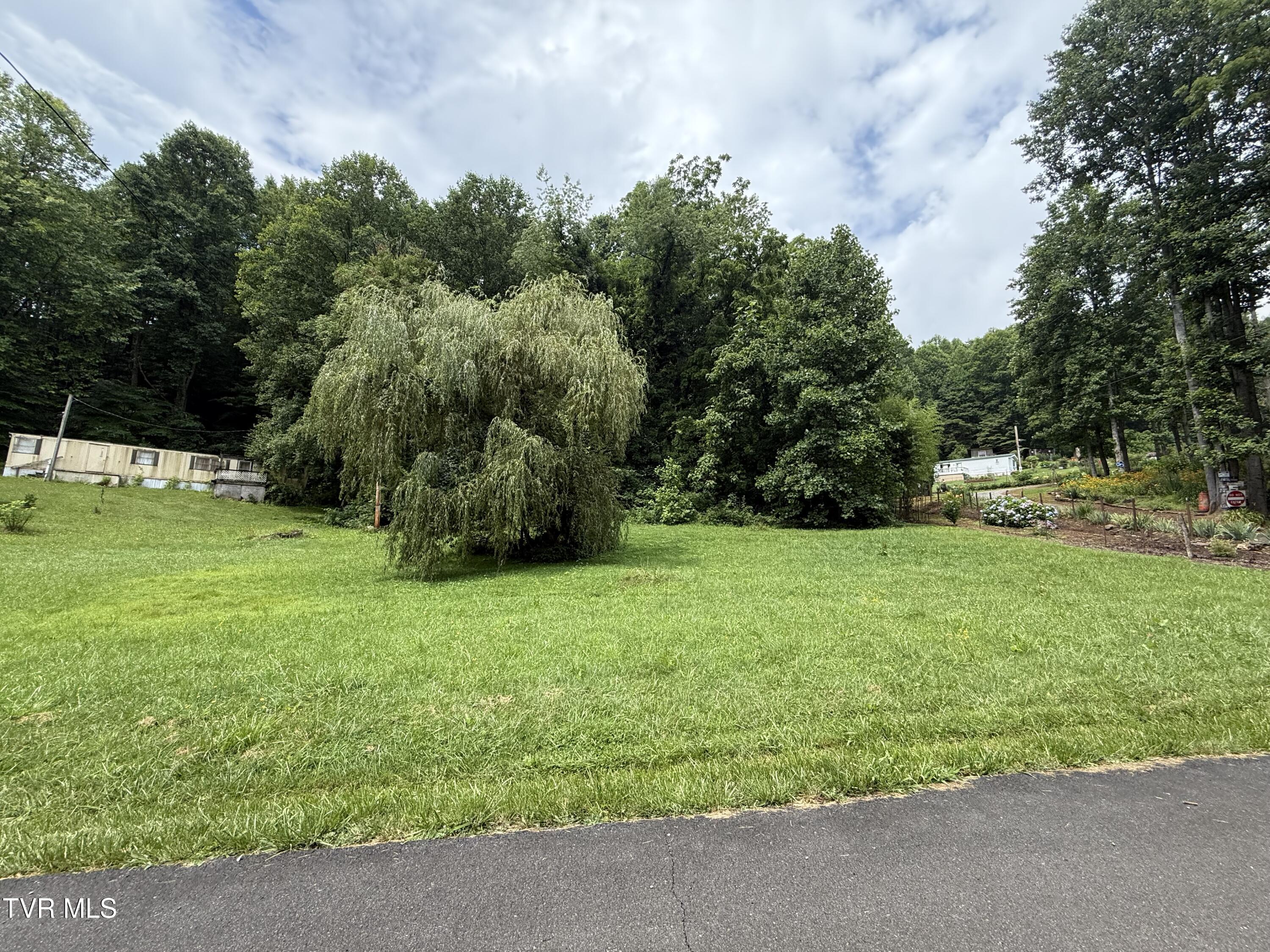 201 Mill Creek Road Elizabethton, TN 37643 - Photo 5 of 18 IMG_4399