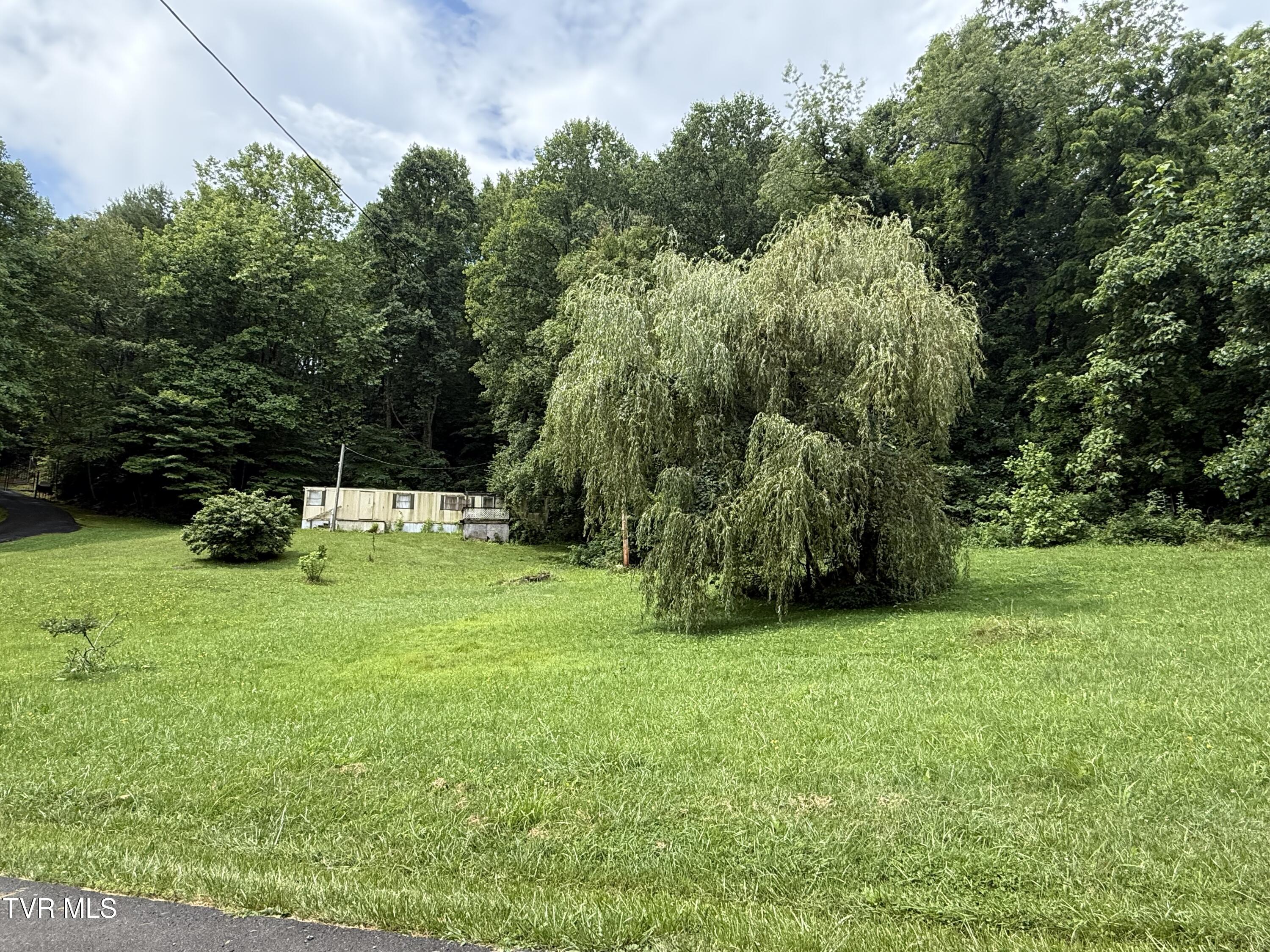 201 Mill Creek Road Elizabethton, TN 37643 - Photo 6 of 18 IMG_4398