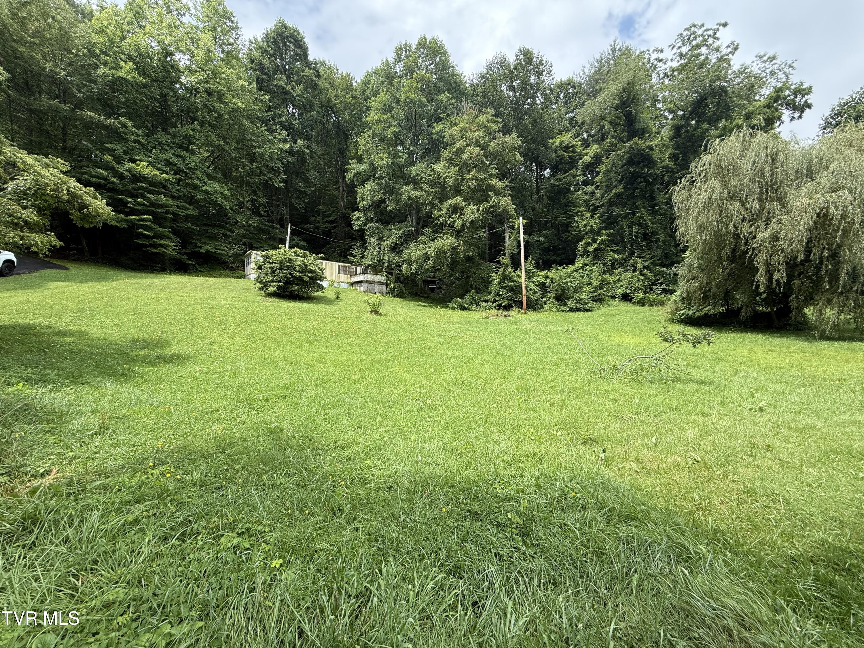 201 Mill Creek Road Elizabethton, TN 37643 - Photo 8 of 18 IMG_4395