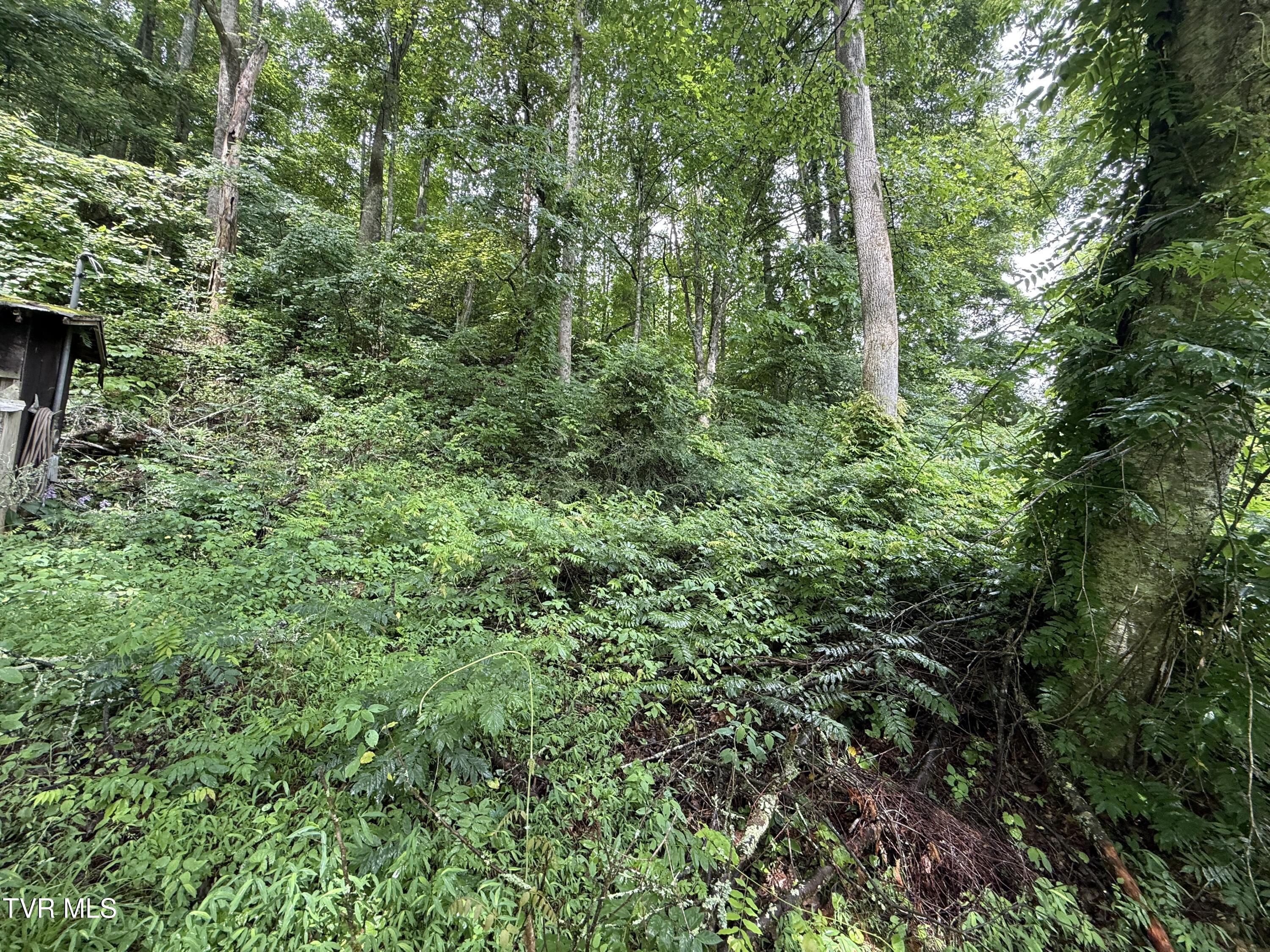 201 Mill Creek Road Elizabethton, TN 37643 - Photo 9 of 18 IMG_4394