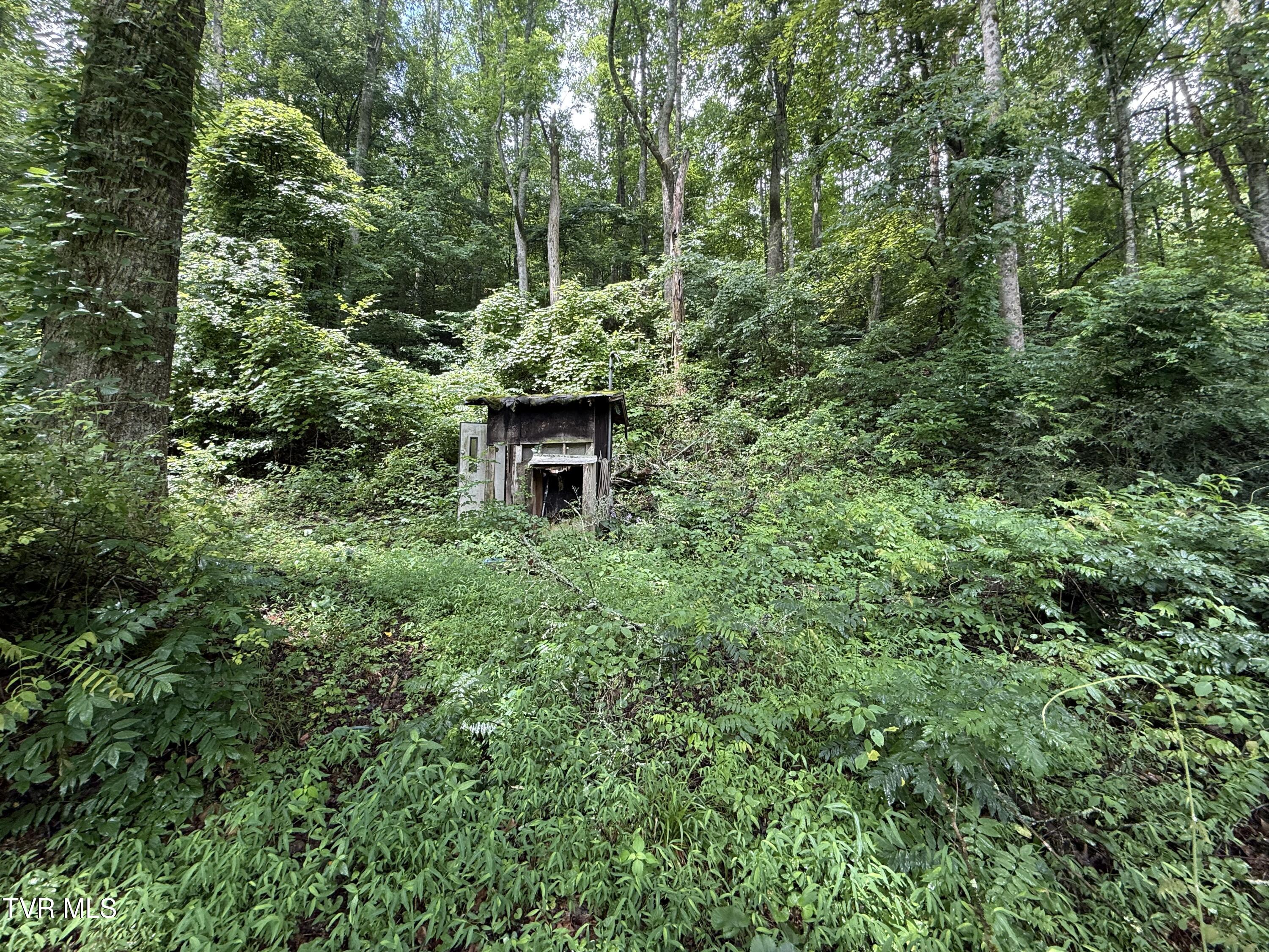 201 Mill Creek Road Elizabethton, TN 37643 - Photo 10 of 18 IMG_4393