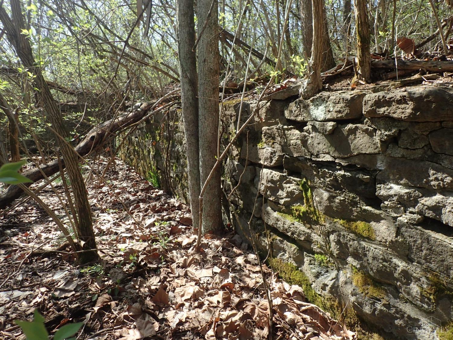 6280 Sheits Road Cincinnati, OH 45252 - Photo 42 of 62 Gallery Image 42