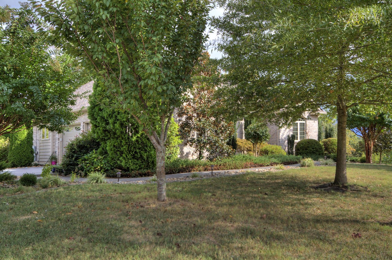 1007 Quail Ridge Lane Dandridge, TN 37725 - Photo 4 of 39 Gallery Image 4