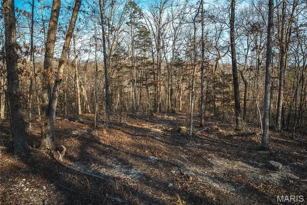 $174,000 | 0 County Road, Eminence, MO 65466