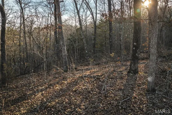 $174,000 | 0 County Road, Eminence, MO 65466