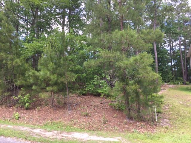 Lot#22 Chapel Branch Road Santee, SC 29142 - Photo 2 of 10 Kaylot1