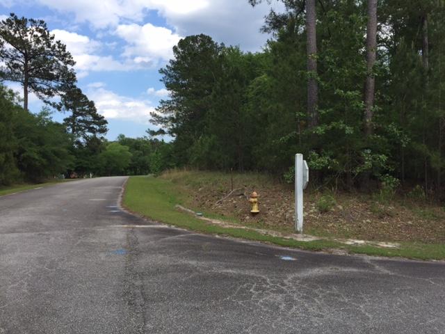 Lot#22 Chapel Branch Road Santee, SC 29142 - Photo 4 of 10 Kaylot3