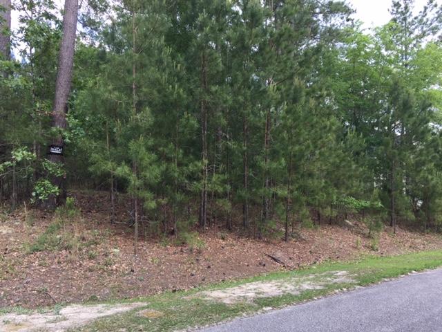 Lot#22 Chapel Branch Road Santee, SC 29142 - Photo 5 of 10 kaylot4