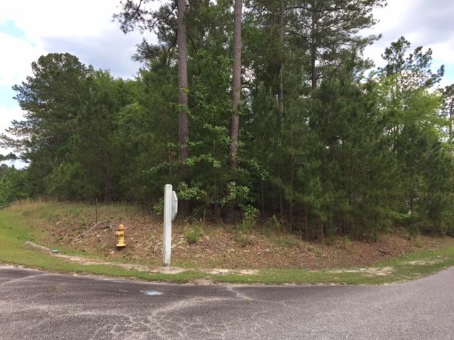Lot#22 Chapel Branch Road Santee, SC 29142 - Photo 6 of 10 Kaylot22