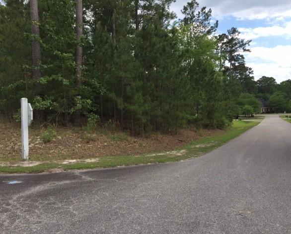 Lot#22 Chapel Branch Road Santee, SC 29142 - Photo 8 of 10 Lot 22... (2)