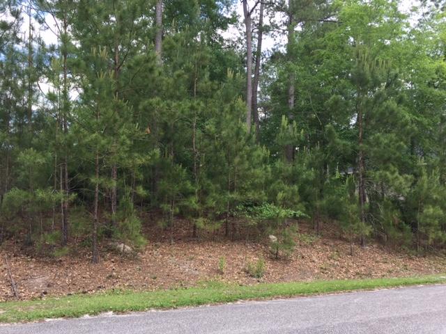 Lot#22 Chapel Branch Road Santee, SC 29142 - Photo 9 of 10 Lot 22..._