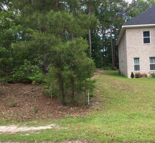 Lot#22 Chapel Branch Road Santee, SC 29142 - Photo 10 of 10 Kaylot