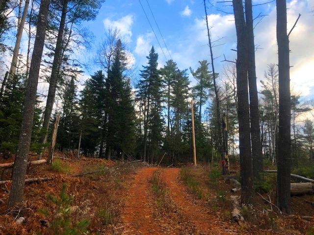 0 Targett Road Rangeley, ME 04970 - Photo 1 of 20 Driveway