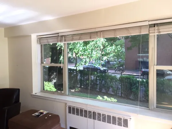 a window that has tree in it