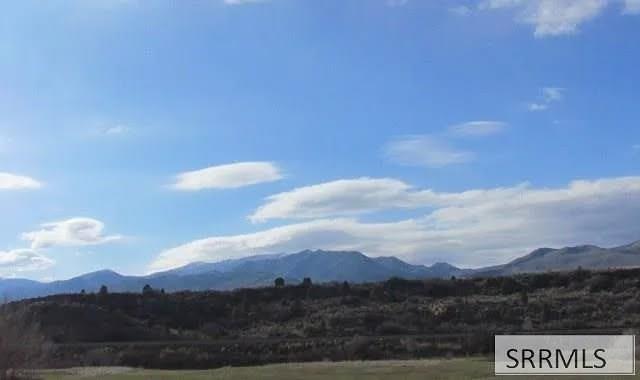 262 South Old Highway 91 Inkom, ID 83245 - Photo 7 of 23