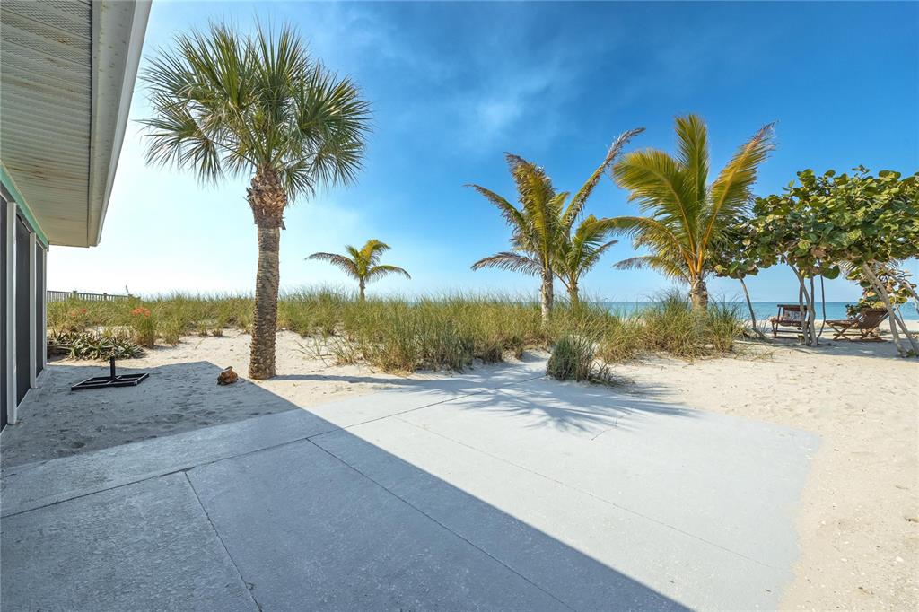 2630 North Beach Road Englewood, FL 34223 - Photo 55 of 98 a row of palm trees and swimming pool in the backyard of a house