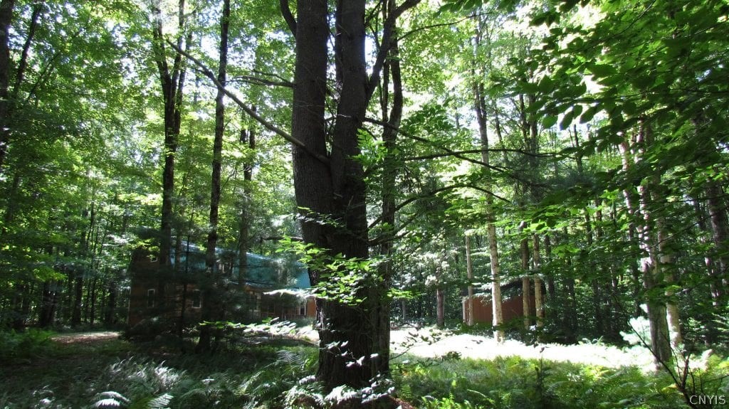 150 Birmingham Road Camden, NY 13316 - Photo 16 of 25 Gallery Image 16