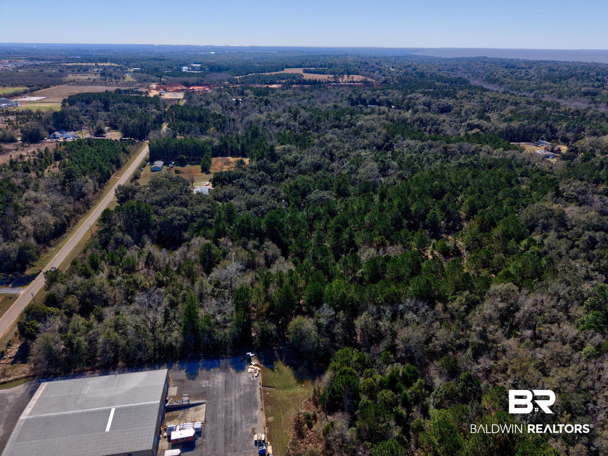 25280 Friendship Road Daphne, AL 36526 - Photo 18 of 34 Aerial overview of property's location featuring a forest