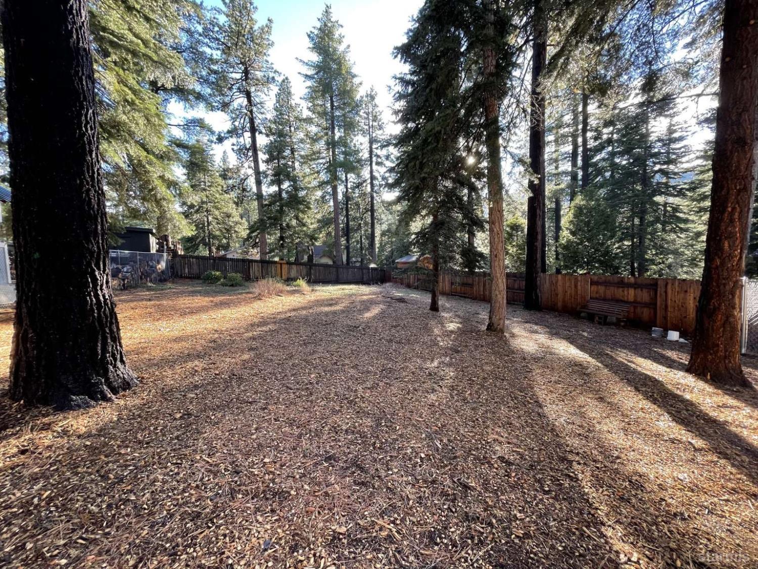 694 Sand Harbor Road South Lake Tahoe, CA 96150 - Photo 20 of 20 a view of a yard with a tree