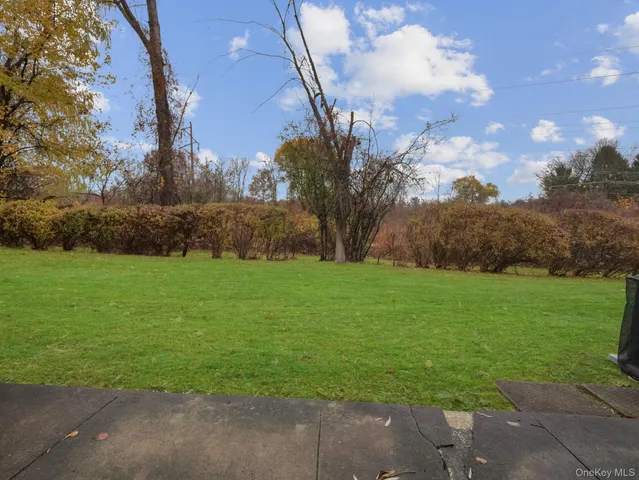 a view of a field of grass and trees