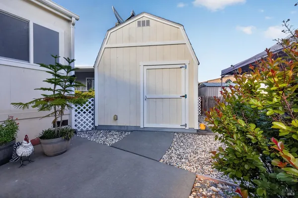 a backyard of a house with potted plants and a large tree