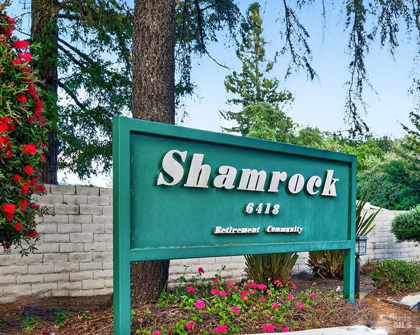 10 Shamrock Circle Santa Rosa, CA 95403 - Photo 32 of 38