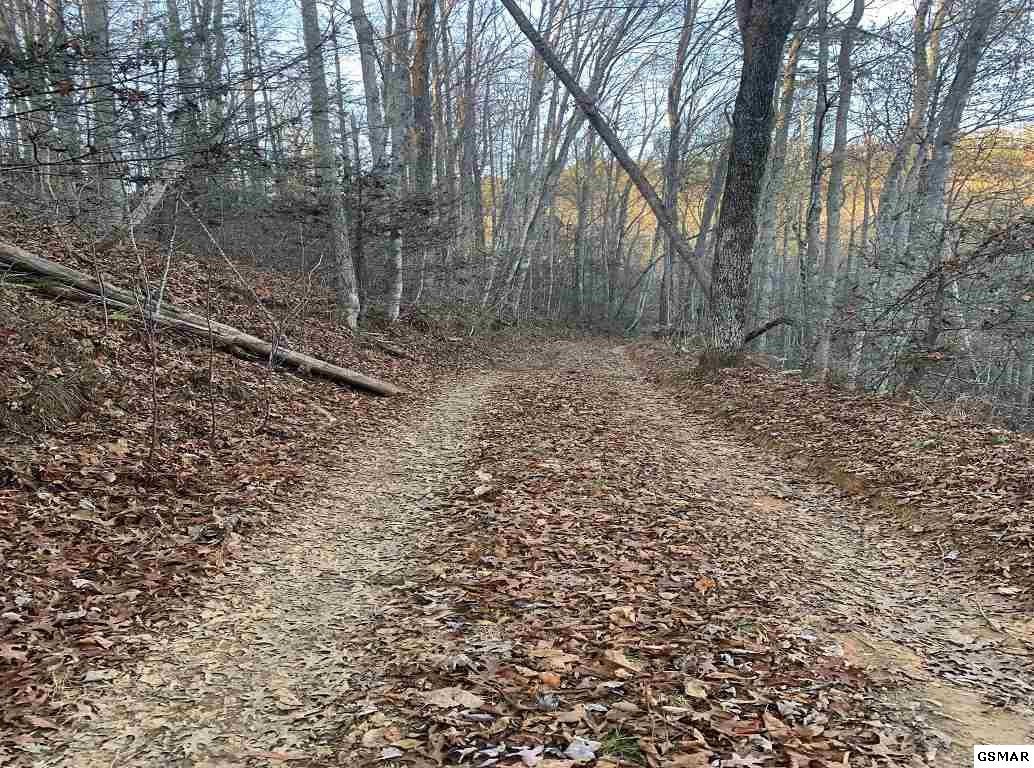 314 Hickey Road Sevierville, TN 37876 - Photo 25 of 36