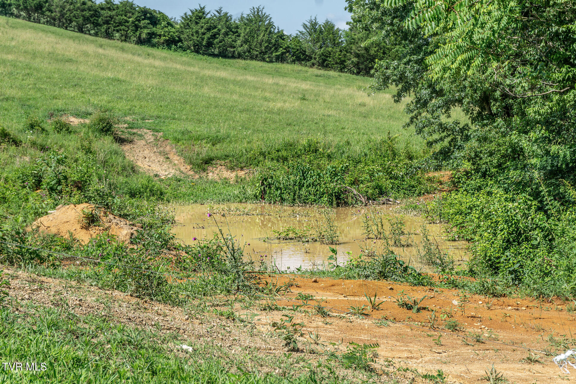 255 Jeffers Lane Limestone, TN 37681 - Photo 67 of 70 255JeffersLnL_050