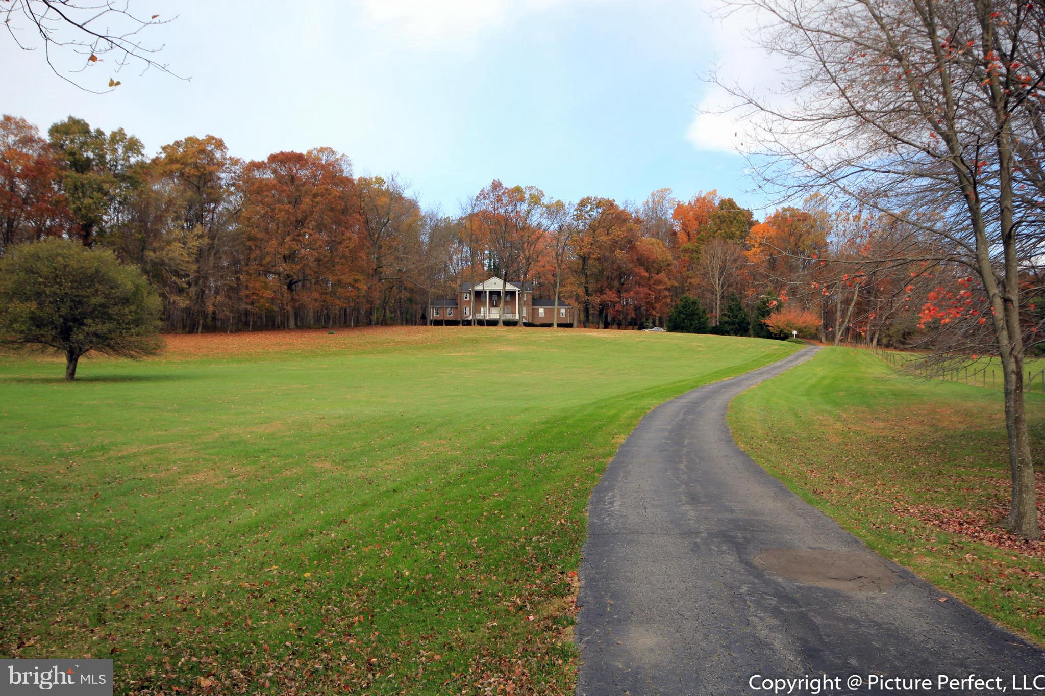 a view of a trees with a big yard