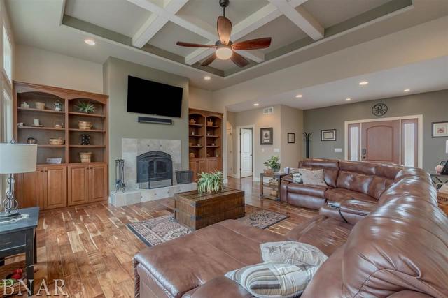 6286 Park Road Clinton, IL 61727 - Photo 8 of 45 a living room with furniture a fireplace and a flat screen tv